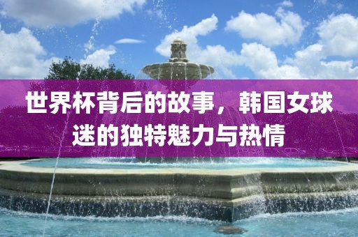 世界杯背后的故事，韩国女球迷的独特魅力与热情洪湖市顺升工程机械租赁有限公司