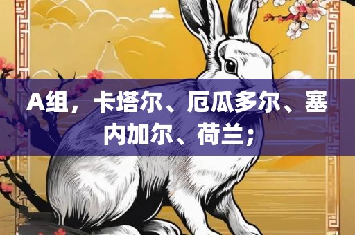 A组，卡塔尔、厄瓜多尔、塞内加尔、荷兰；
