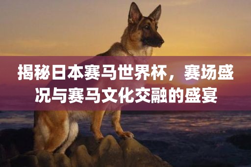 揭秘日本赛马世界杯，赛场盛况与赛马文化交融的盛宴洪湖市顺升工程机械租赁有限公司