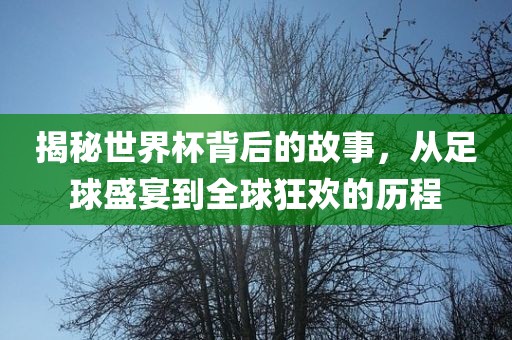 揭秘世界杯背后的故事，从足球盛宴到全球狂欢的历程洪湖市顺升工程机械租赁有限公司