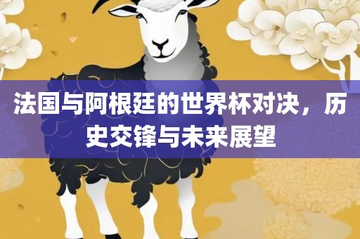 法国与阿根廷的世界杯对决，历史交锋与未来展望