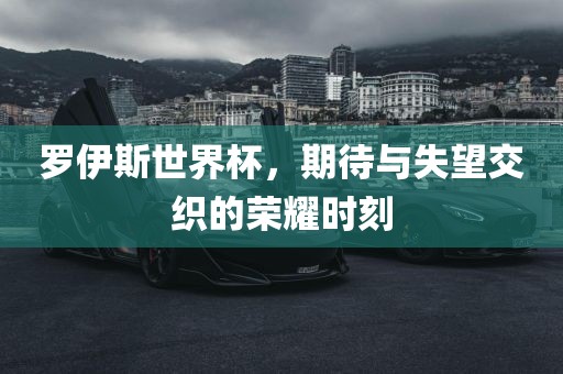 罗伊斯世界杯，期待与失望交织的荣耀时刻