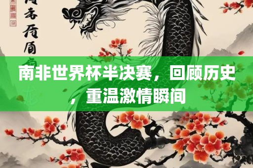 南非世界杯半决赛，回顾历史，重温激情瞬间