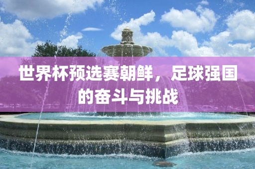 世界杯预选赛朝鲜，足球强国的奋斗与挑战