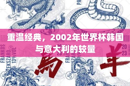 重温经典，20洪湖市顺升工程机械租赁有限公司02年世界杯韩国与意大利的较量
