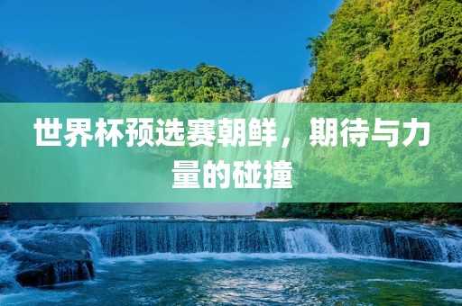 世界杯预选赛朝鲜，期待与力量的碰撞