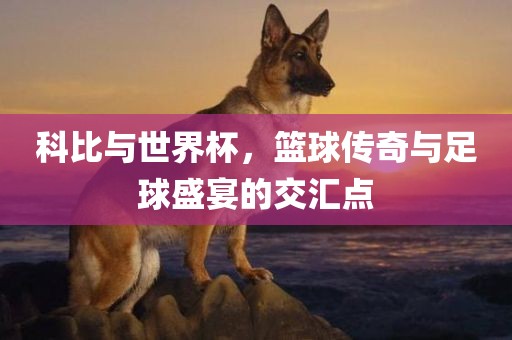 科比与世界杯，篮球传奇与足球盛宴的交汇点洪湖市顺升工程机械租赁有限公司