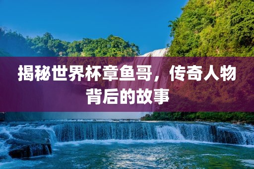 揭秘世界杯章鱼哥，传奇人物背后的故事洪湖市顺升工程机械租赁有限公司