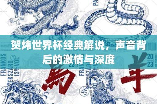 贺炜世界杯经典解说，声音背后的激情与深度