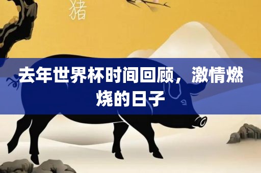 去年世界杯时间回顾，激情燃烧的日子