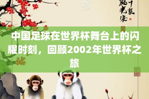 中国足球在世界杯舞台上的闪耀时刻，回顾2002年世界杯之旅