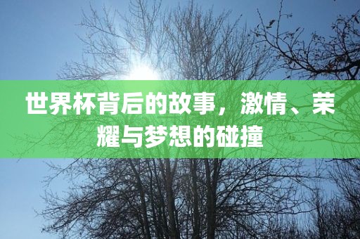世界杯背后的故事，激情、荣耀与梦想的碰撞