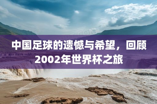 中国足球的遗憾与希望，回顾2002年世界杯之旅