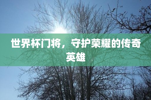 世界杯门将，守护荣耀的传奇英雄