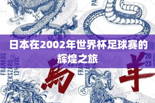 日本在2002年世界杯足球赛的辉煌之旅洪湖市顺升工程机械租赁有限公司