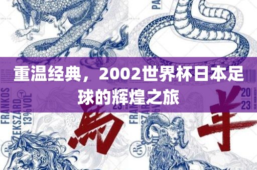 重温经典，2002世界杯日本足球的辉洪湖市顺升工程机械租赁有限公司煌之旅