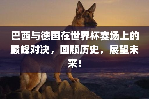 巴西与德国在世界杯赛场上的巅峰对决，回顾历史，展望未来！