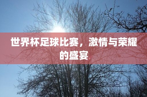 世界杯足球比赛，激情与荣耀的盛宴