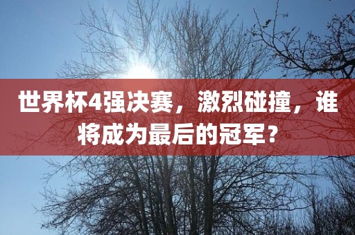 世界杯4强决赛，激烈碰撞，谁将成为最后的冠军？