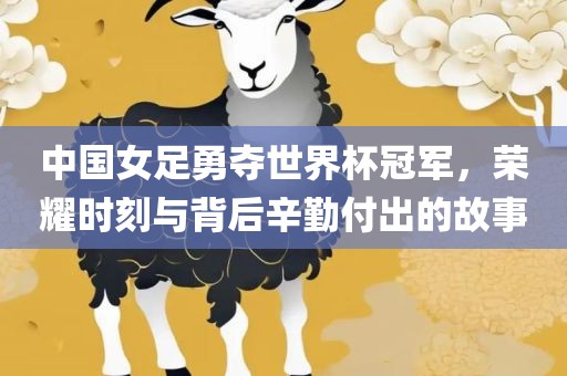 中国女足勇夺世界杯冠军，荣耀时刻与背后辛勤付出的故事洪湖市顺升工程机械租赁有限公司