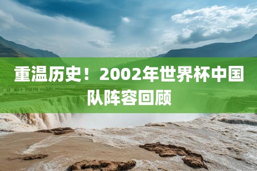 重温历史！2002年世界杯中国队阵容回顾