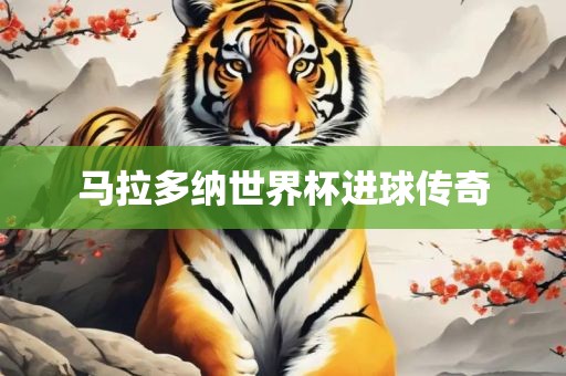 马拉多纳世界杯进球传奇