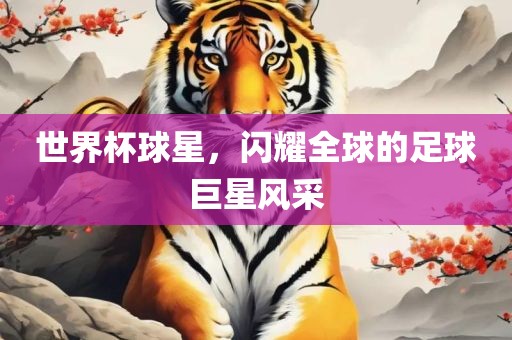 世界杯球星，闪耀全球的足球巨星风采