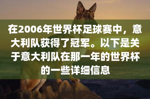 在2006年世界杯足球赛中，意大利队获得了冠军。以下是关于意大利队在那一年的世界杯的一些详细信息