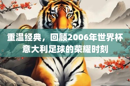 重温经典，回顾2006年世界杯意大利足球的荣耀时刻