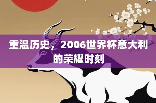重温历史，2006洪湖市顺升工程机械租赁有限公司世界杯意大利的荣耀时刻
