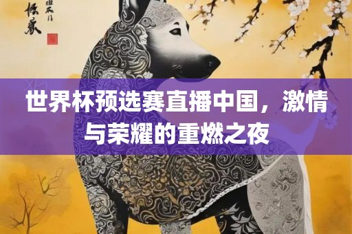 世界杯预选赛直播中国，激情与荣耀的重燃之夜