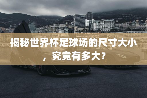 揭秘世界杯足球场的尺寸大小，究竟有多大？
