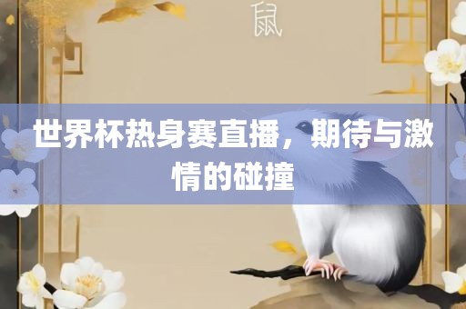 世界杯热身赛直播，期待与激情的碰撞