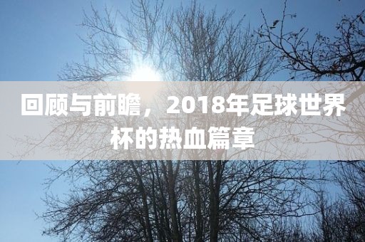 回顾与前瞻，2018年足球世界杯的洪湖市顺升工程机械租赁有限公司热血篇章