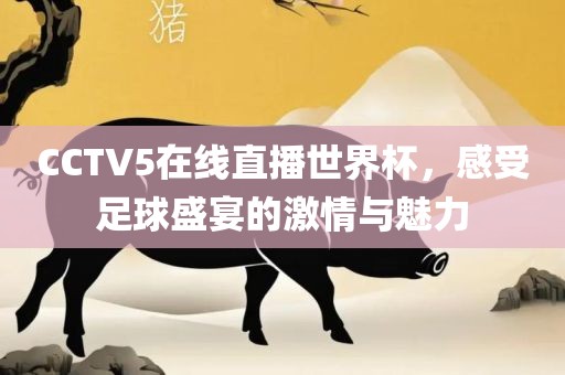 CCTV5在线直播世界杯，感受足球盛宴的激情与魅力