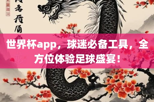 世界杯app，球迷必备工具，全方位体验足球盛宴！