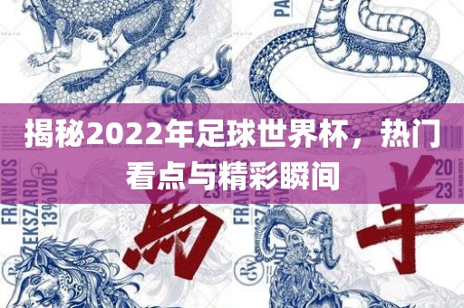揭秘2022年足球世界杯，热门看点与精彩瞬间