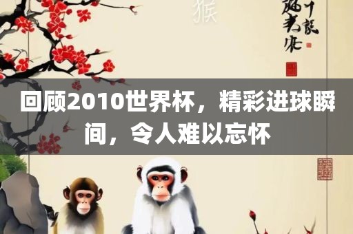 回顾2010世界杯，精彩进球瞬间，令人难以忘怀