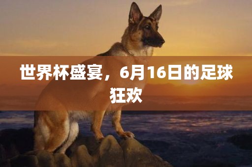 世界杯盛宴，6洪湖市顺升工程机械租赁有限公司月16日的足球狂欢