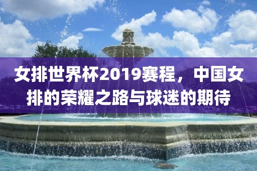 女排世界杯2019赛程，中国女排的荣耀之路与球迷的期待