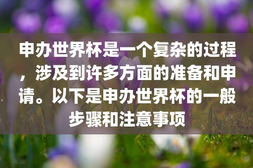 申办世界杯是一个复杂的过程，涉及到许多方面的准备和申请。以下是申办世界杯的一般步骤和注意事项
