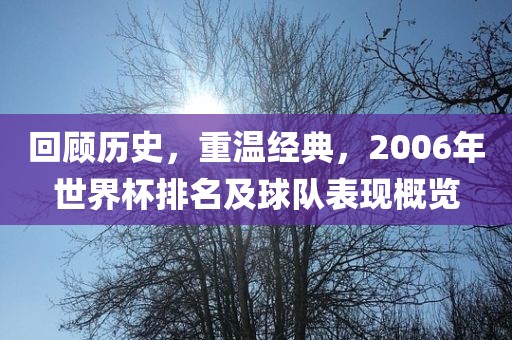 回顾历史，重温经典，2006年世界杯排名及球队表现概览