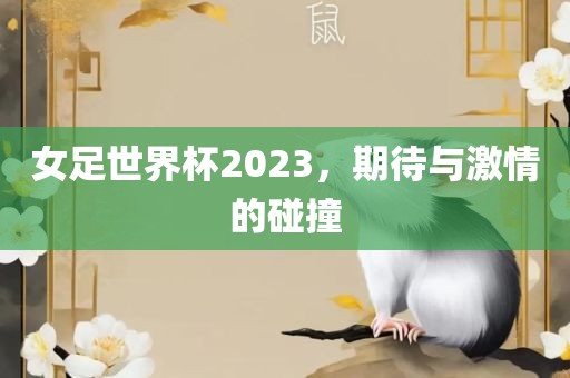 女足世界杯2023，期待与激情的碰撞