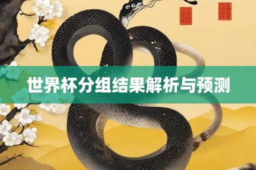 世界杯分组结果解析与预测
