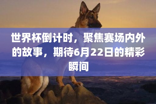 世界杯倒计时，聚焦赛场内外的故事，期待6月22日的精彩瞬间