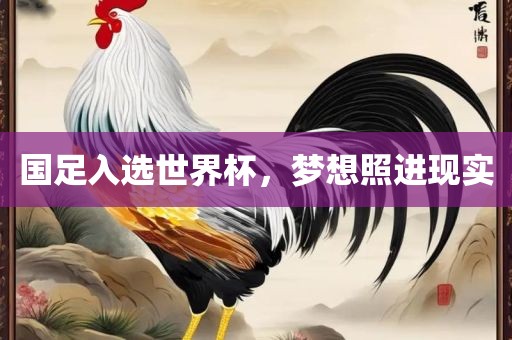 国足入选世界杯，梦想照进现实