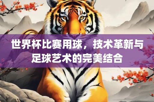 世界杯比赛用球，技术革新与足球艺术的完美结合