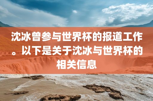沈冰曾参与世界杯的报道工作。以下是关于沈冰与世界杯的相关信息