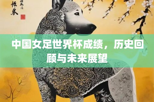 中国女足世界杯成绩，历史回顾与未来展望