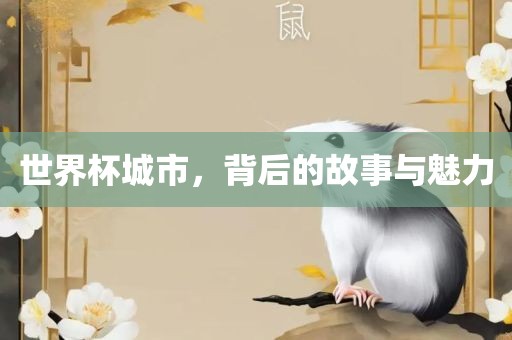 世界杯城市，背后的故事与魅力